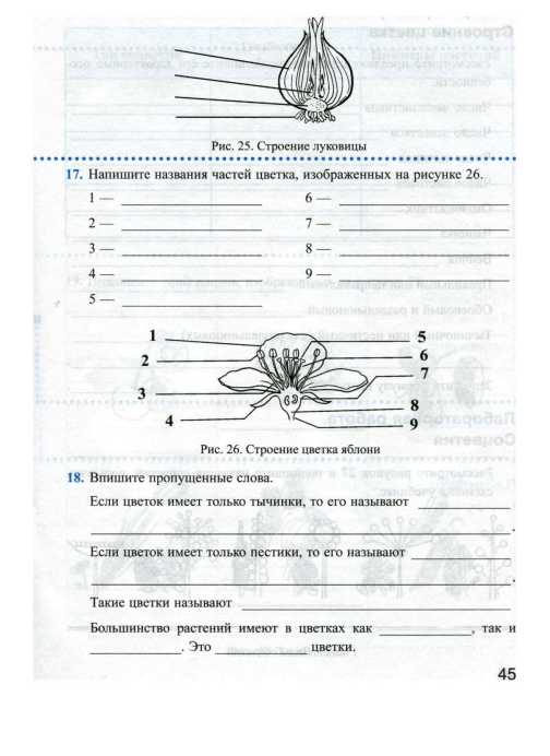 Цветок Биология 6 Класс Контрольная Работа
